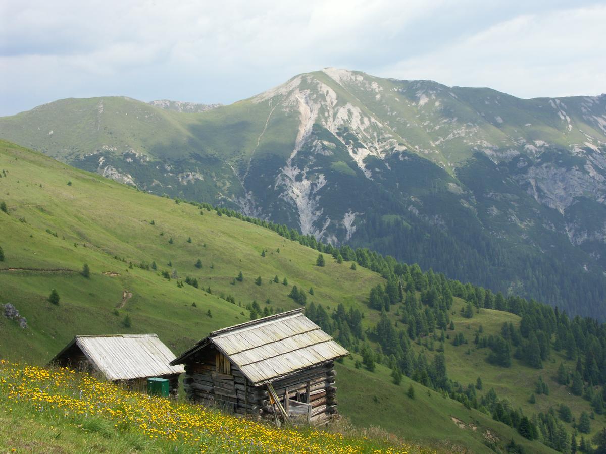 Hotel Garni Haus Anita Liesing Exterior photo